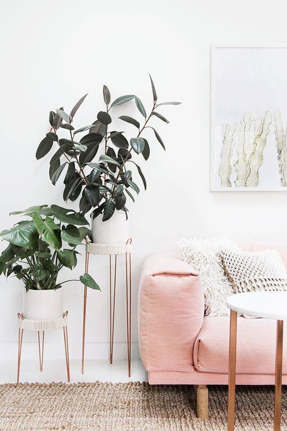 all white interiors white room with pink sofa