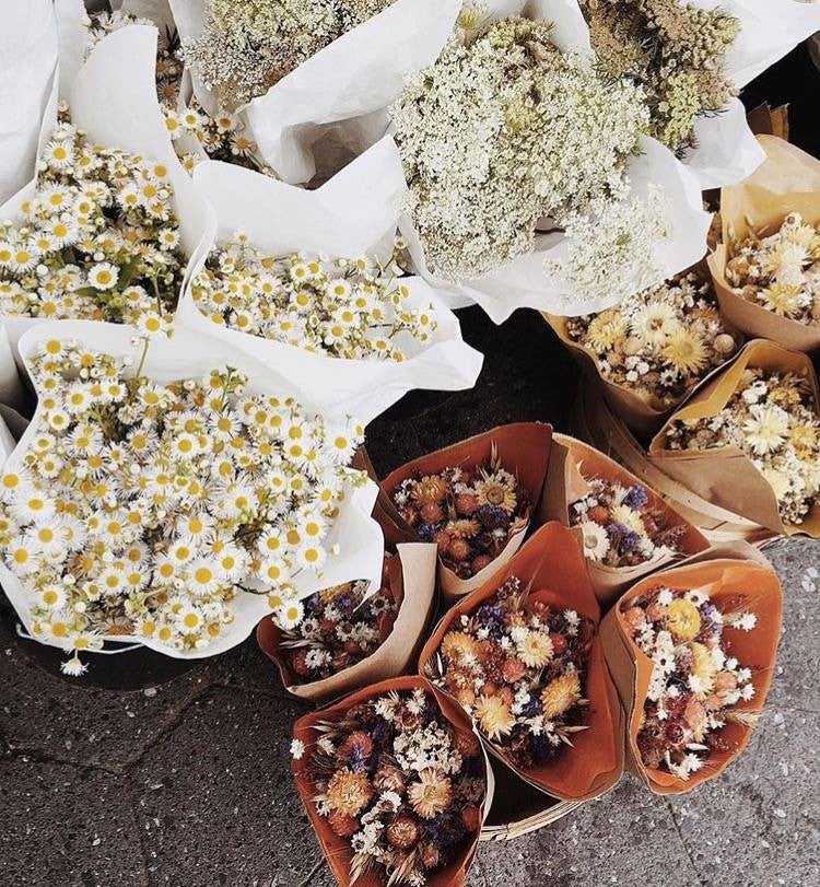 best instagram accounts fall flowers at bodega flower stand