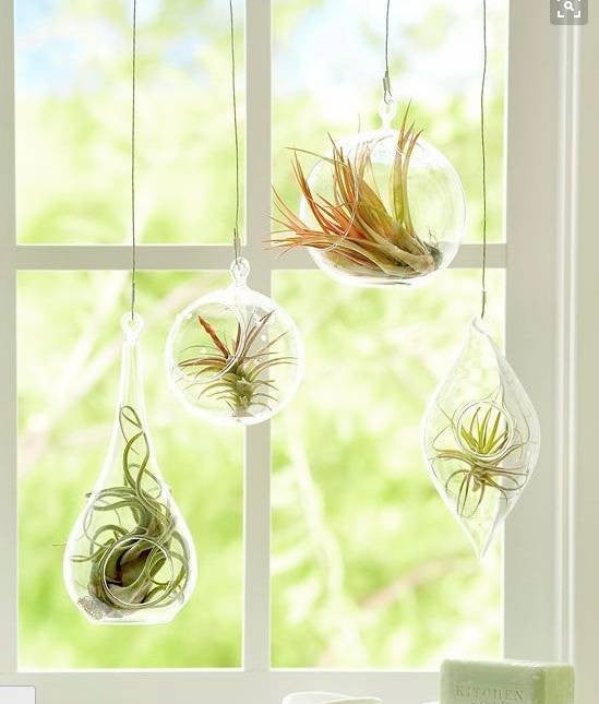 14 Decor Ideas To Instantly Upgrade Your Windows: Hanging Planters