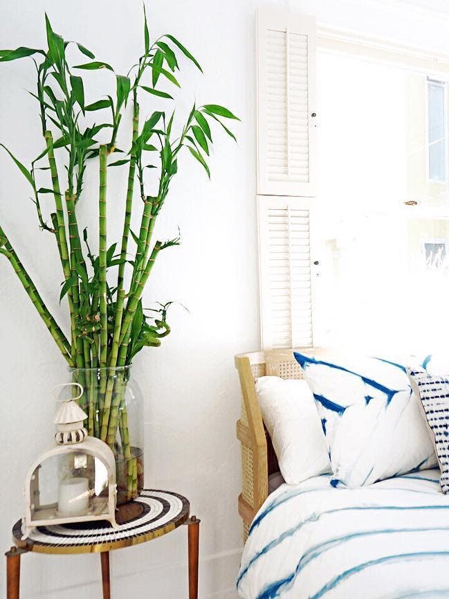 5 Seriously Lifelike Artificial Plants to Buy Now