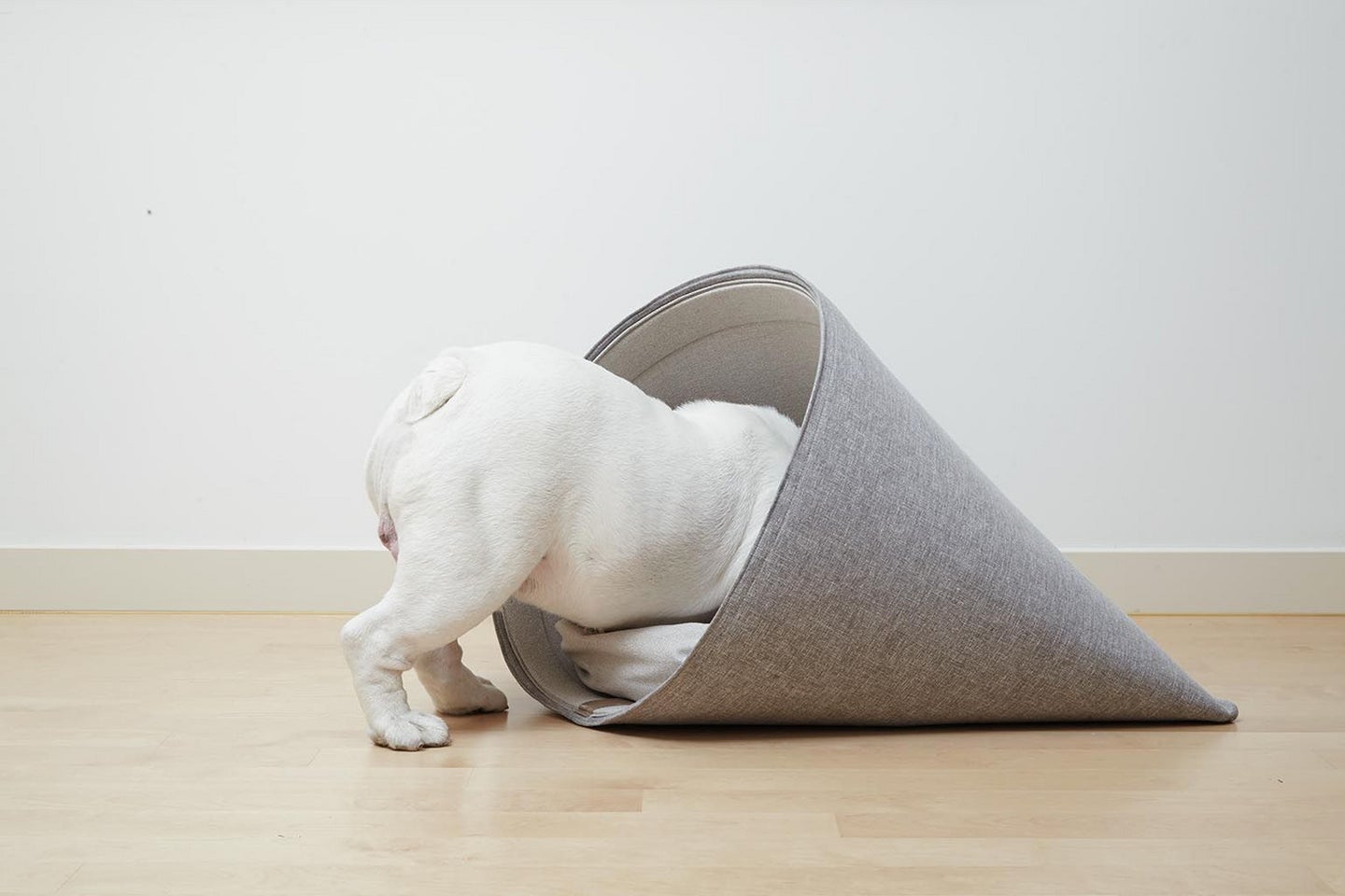 howlpot-dog-bed