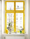 yellow-window-frame