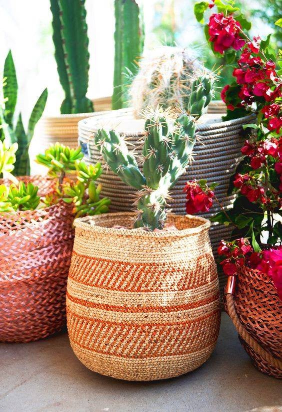 Storage Basket Ideas cacti in baskets