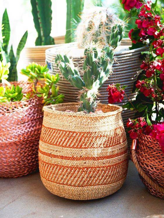 Storage Basket Ideas cacti in baskets