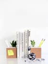 DIY Desk Accessories Succulent And Supply Holder Bookends