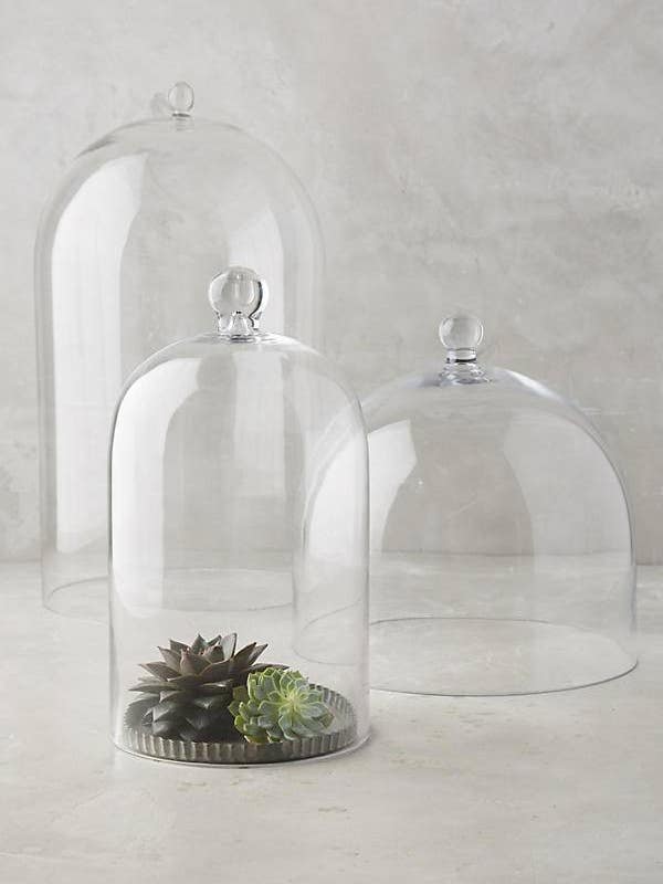 glass decor accessories Glass Display Cloche by Anthropologie