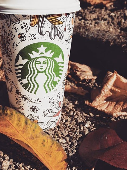 Basic Things To Do In The Fall PSL Fall Leaves