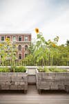 West Village Townhouse Alison Cayne Green Outdoor
