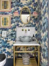 Small bathroom with blue botanical wallpaper and brass sink.