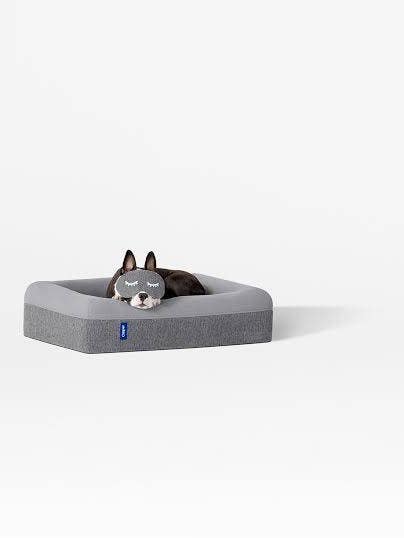 casper dog beds dog in bed with eyemask