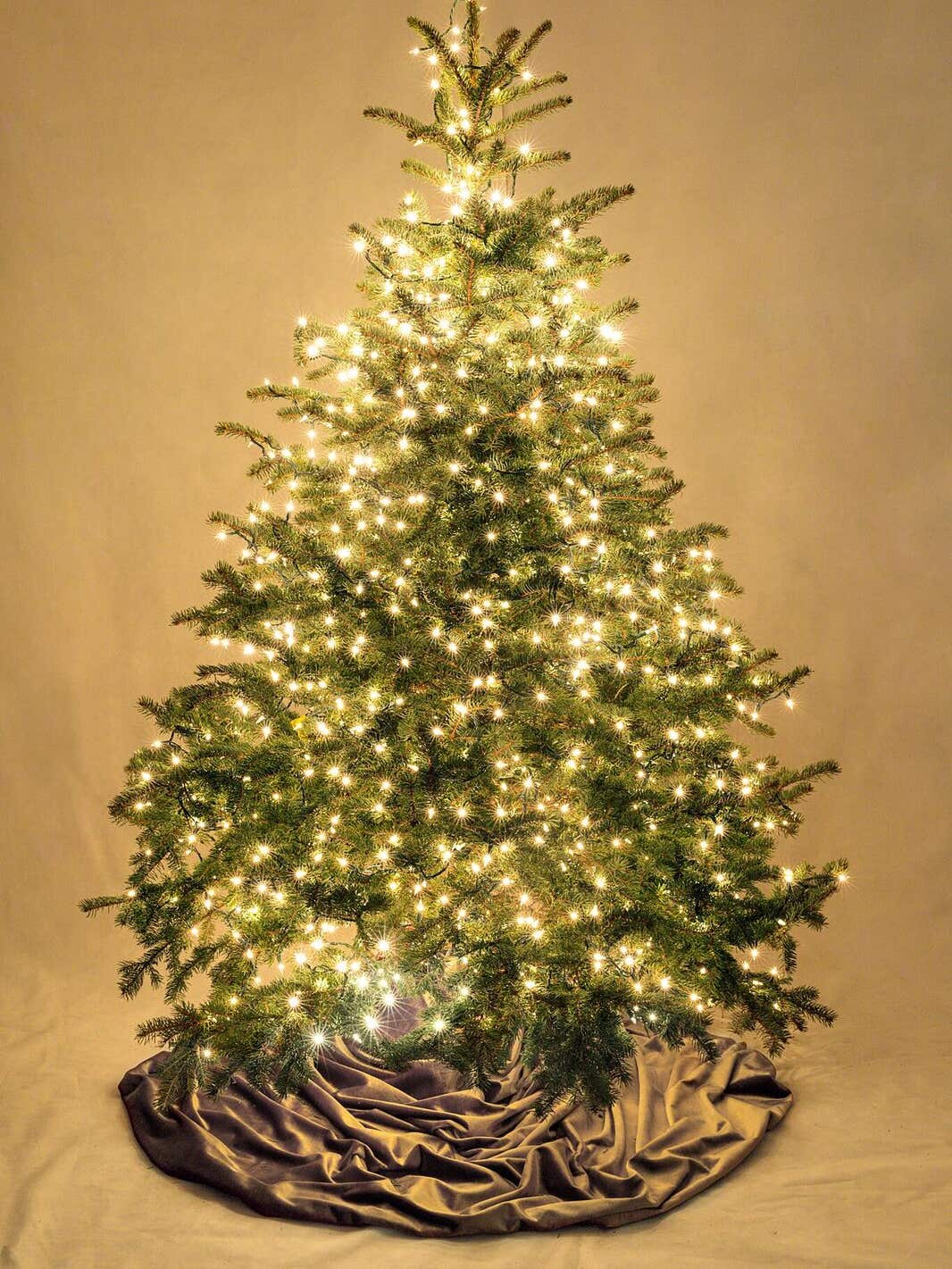 The Christmas Tree–Lighting Hack Every Home Deserves