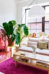 room with large houseplant and light pink couch