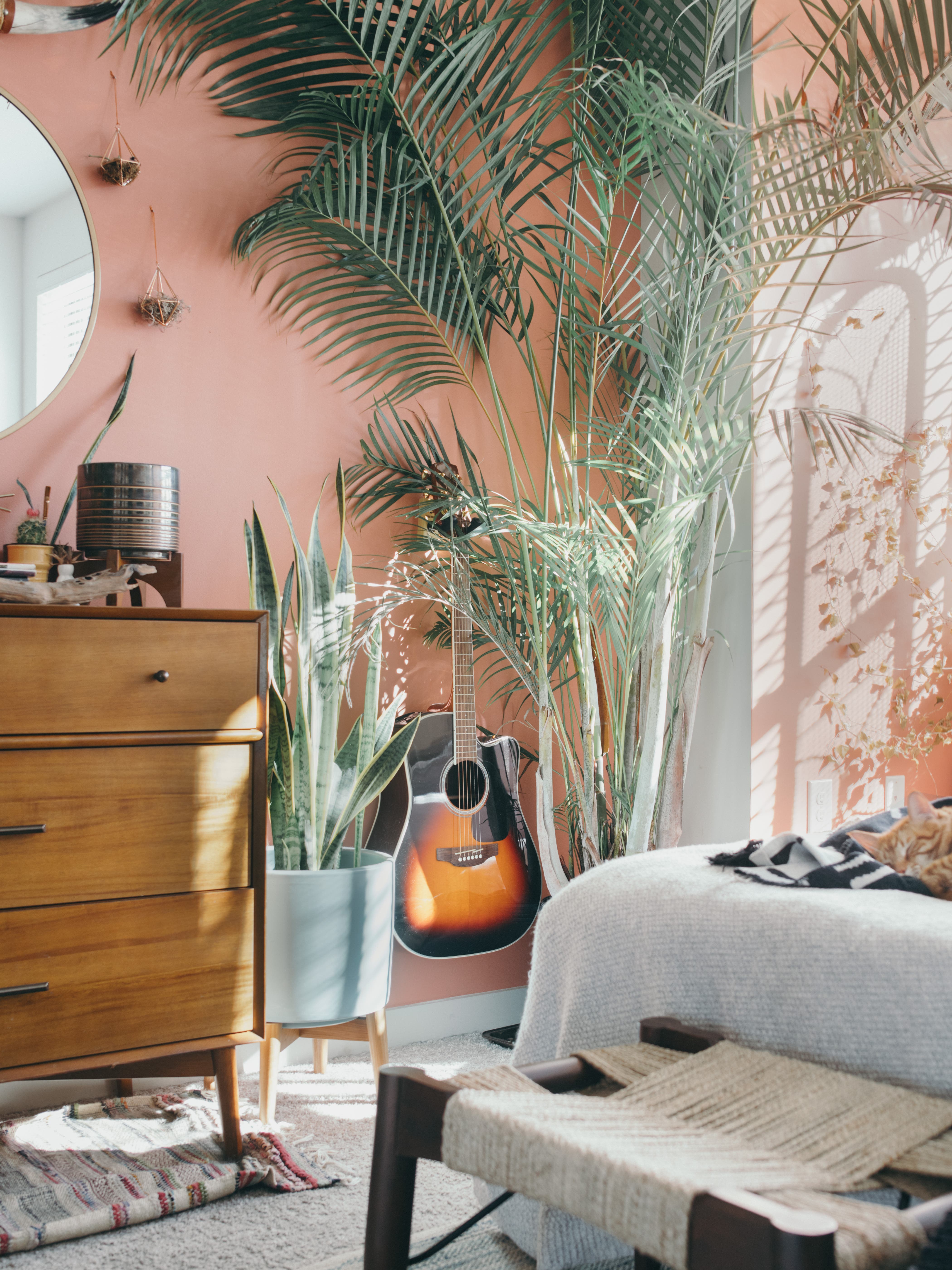 This 700-Square-Foot Apartment Is Home to Over 70 Plants