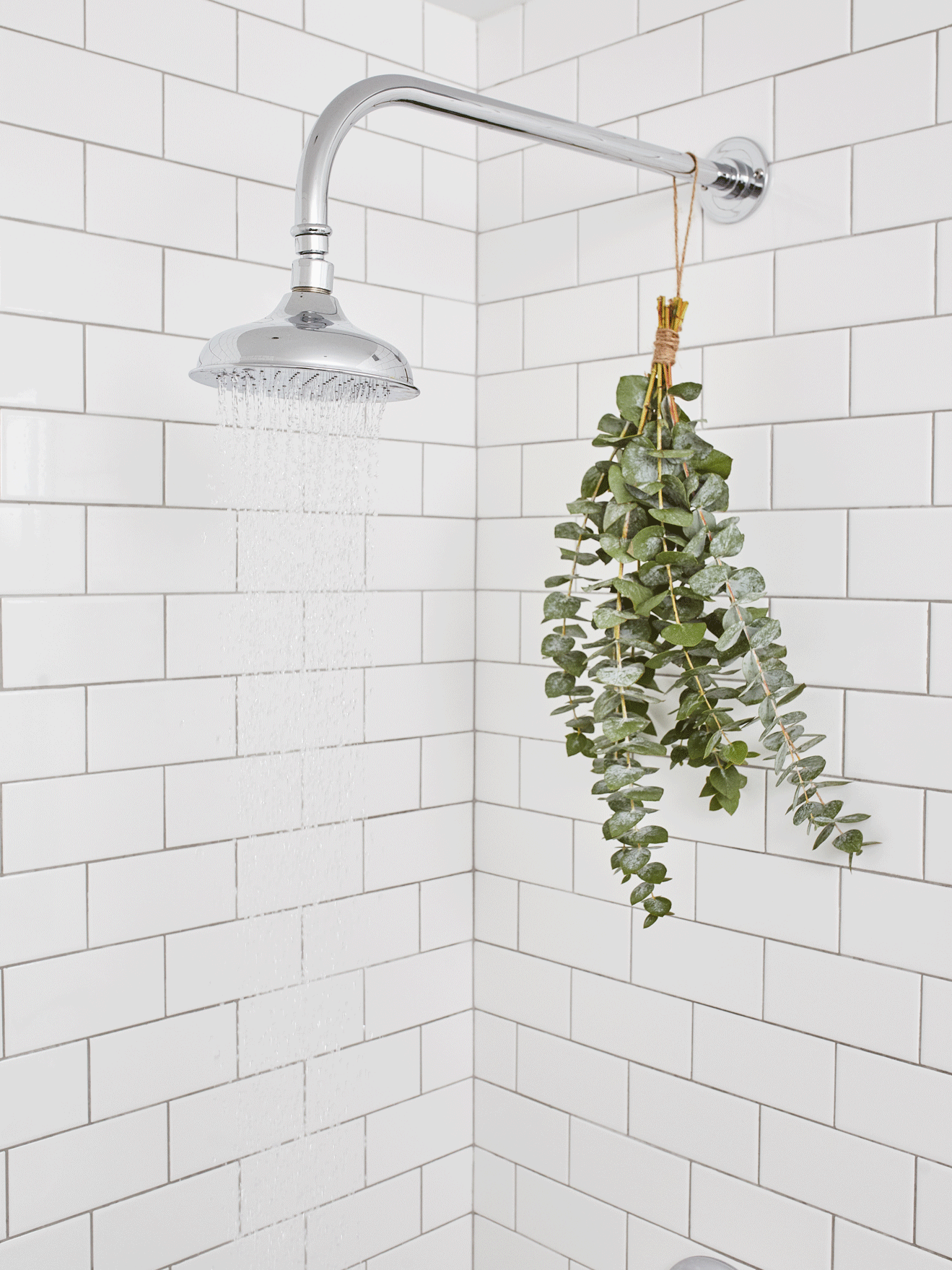 Life Hack: Put a Bunch of Eucalyptus In Your Shower