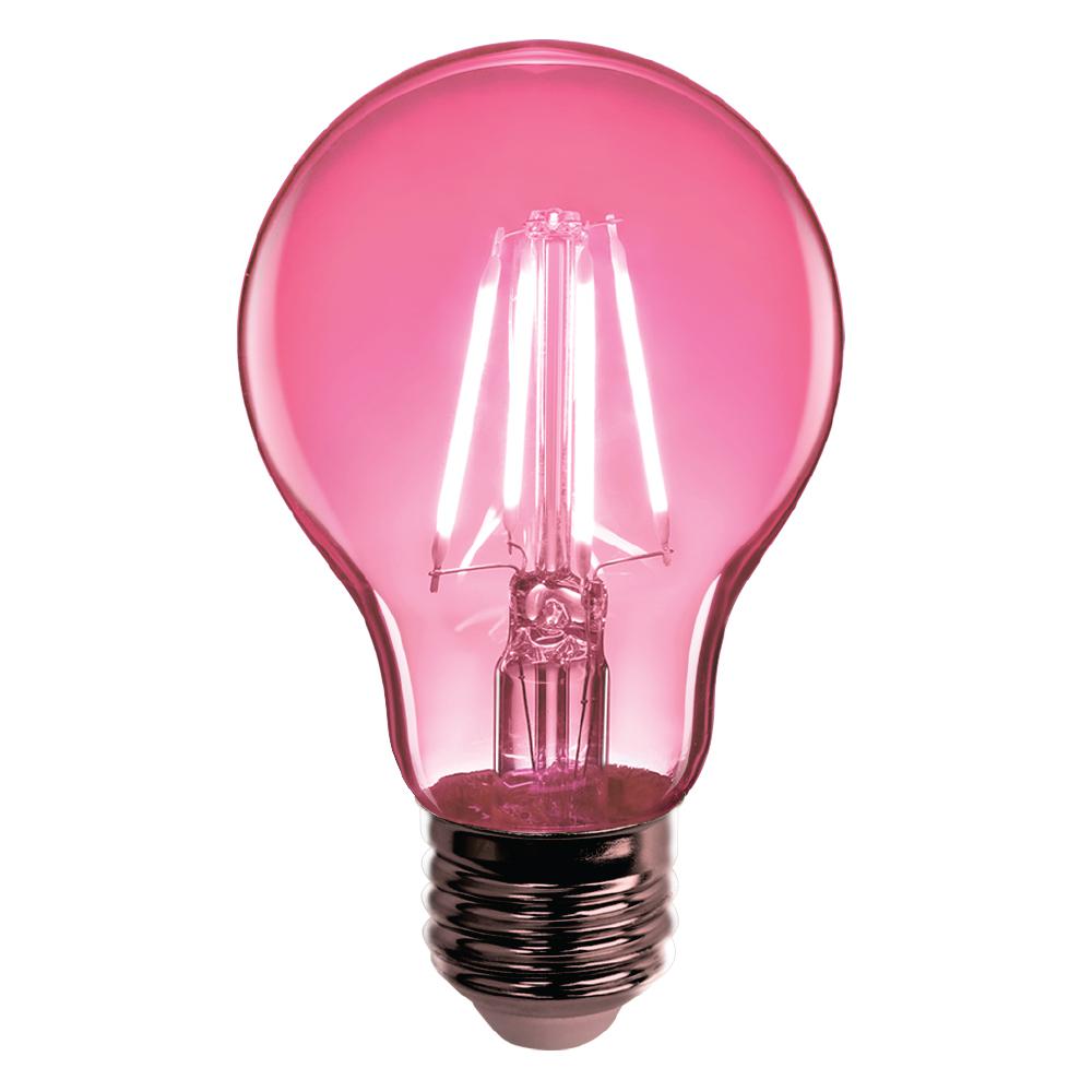 clear-feit-electric-colored-light-bulbs-a19-tpk-led-sgk-64_1000