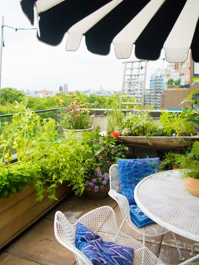 Wait, Is Gardening About to Become the Next Big Millennial Pastime?