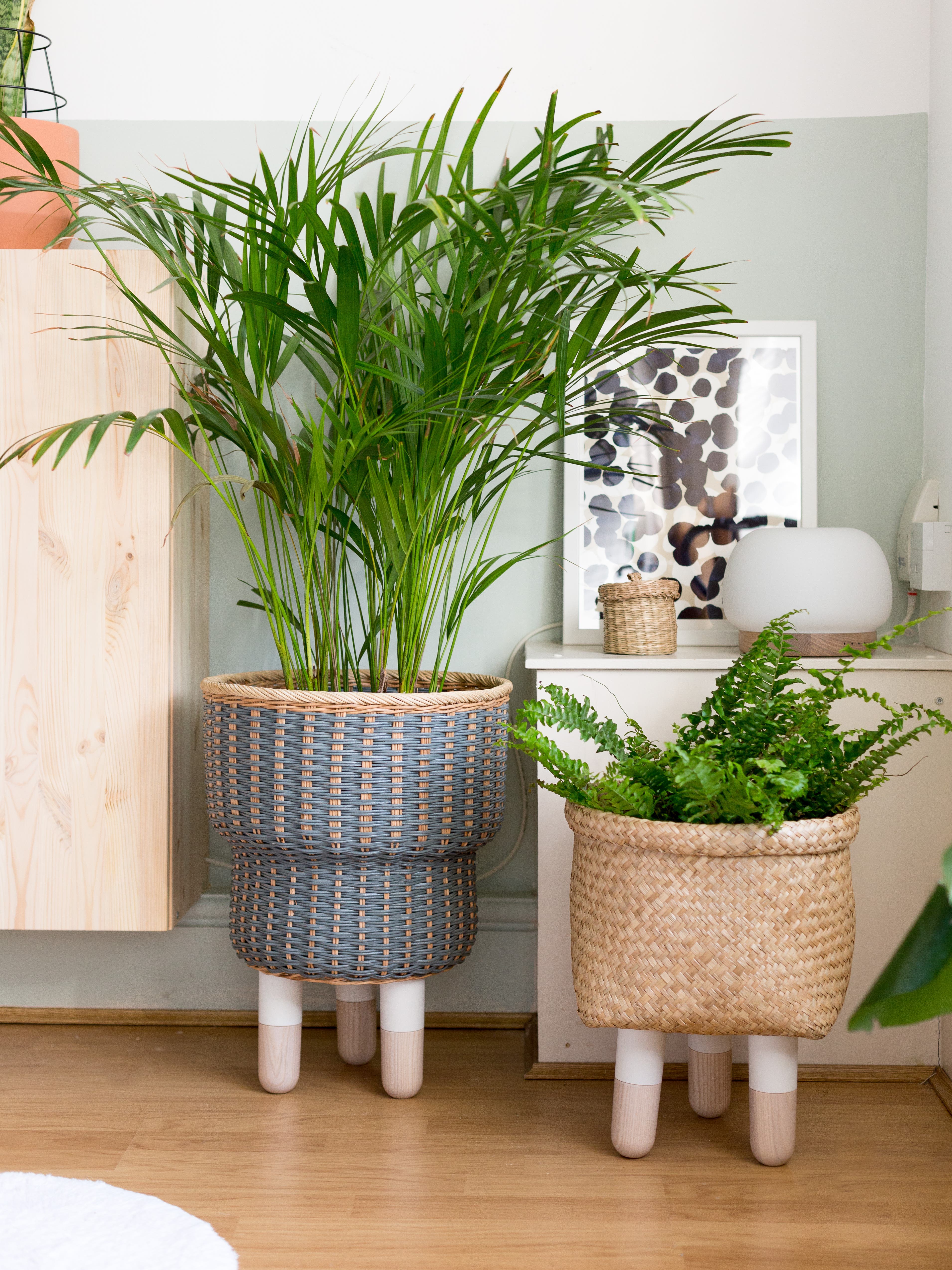 6 DIY Plant Displays to Take Your Green Scene to the Next Level