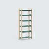 Ash plywood frame with forest green steel shelves