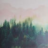 wall mural featuring painted forest background