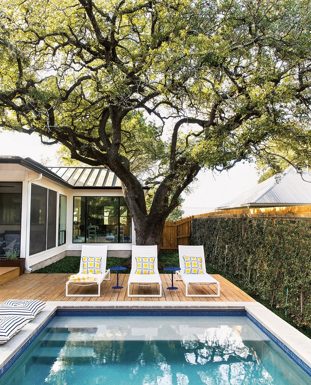 house exterior with a pool and giant tree over three tanning chairs