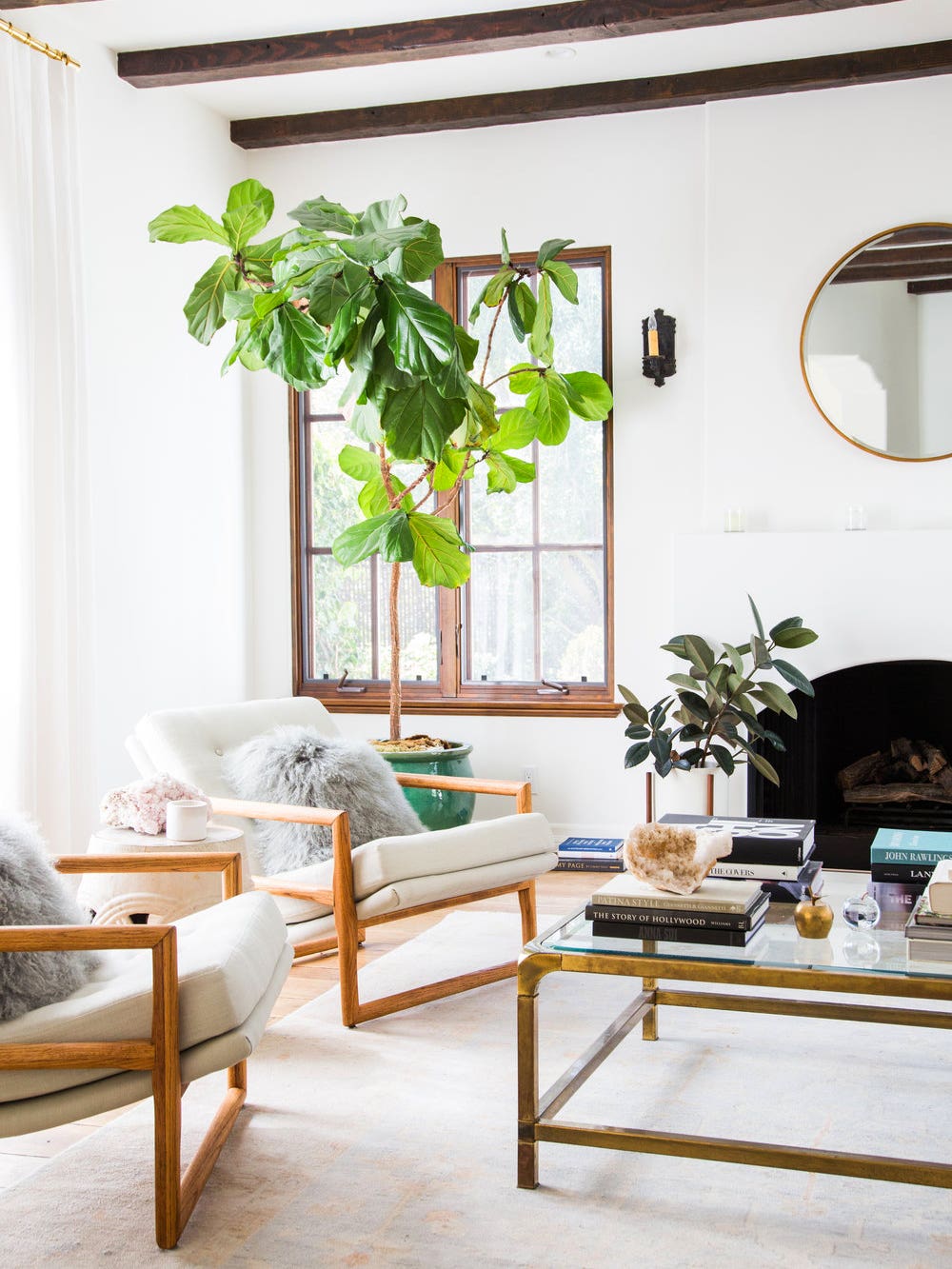 The Best Houseplant for Your Myers-Briggs Type