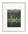 forest photo in light wood frame