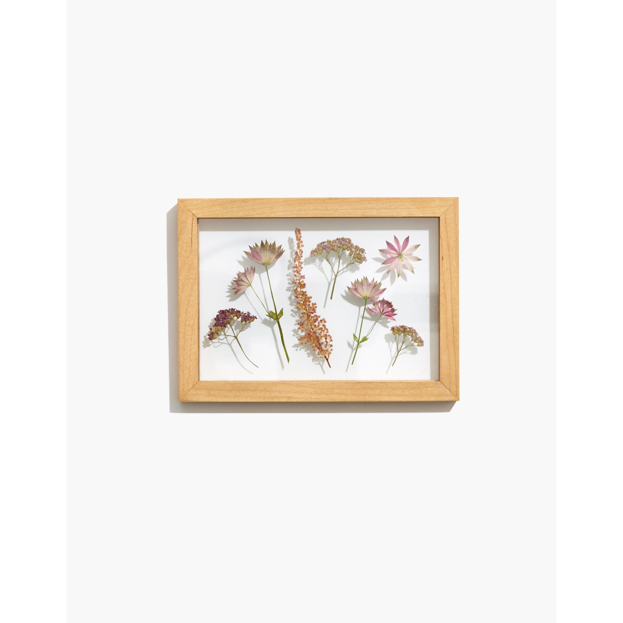 dried florals pressed in a wood frame