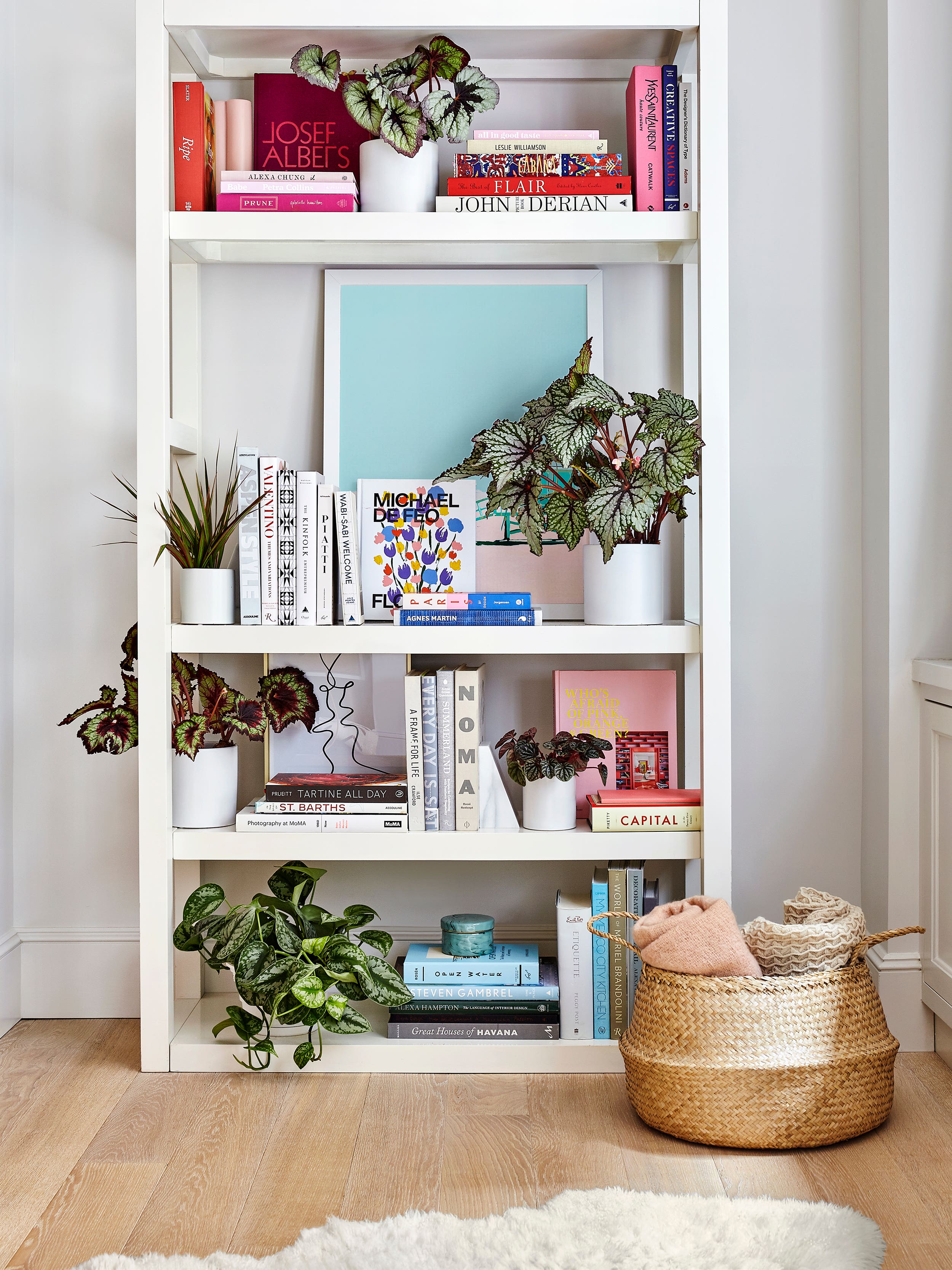 Our Definitive Guide to Styling Your Dream Bookcase