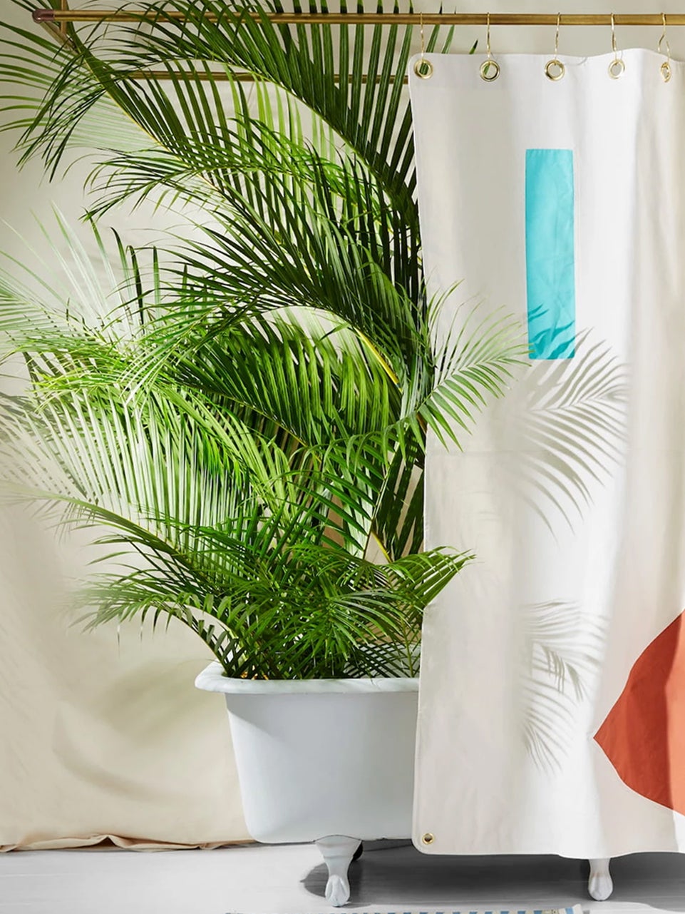 Turn Your Bathroom Into a Mini Jungle With These Shower-Friendly Plants