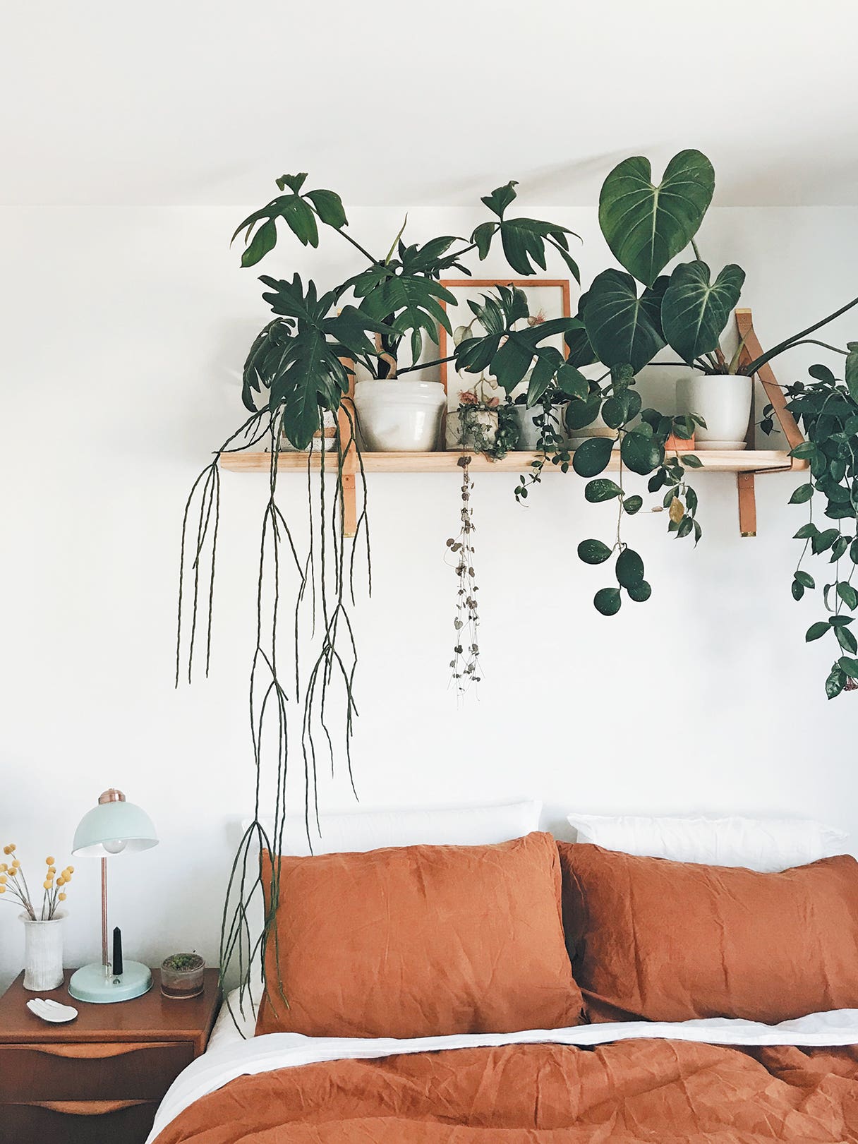 How to Create a Plant Shelf That Doesn’t Get Dirt All Over Your Bedding
