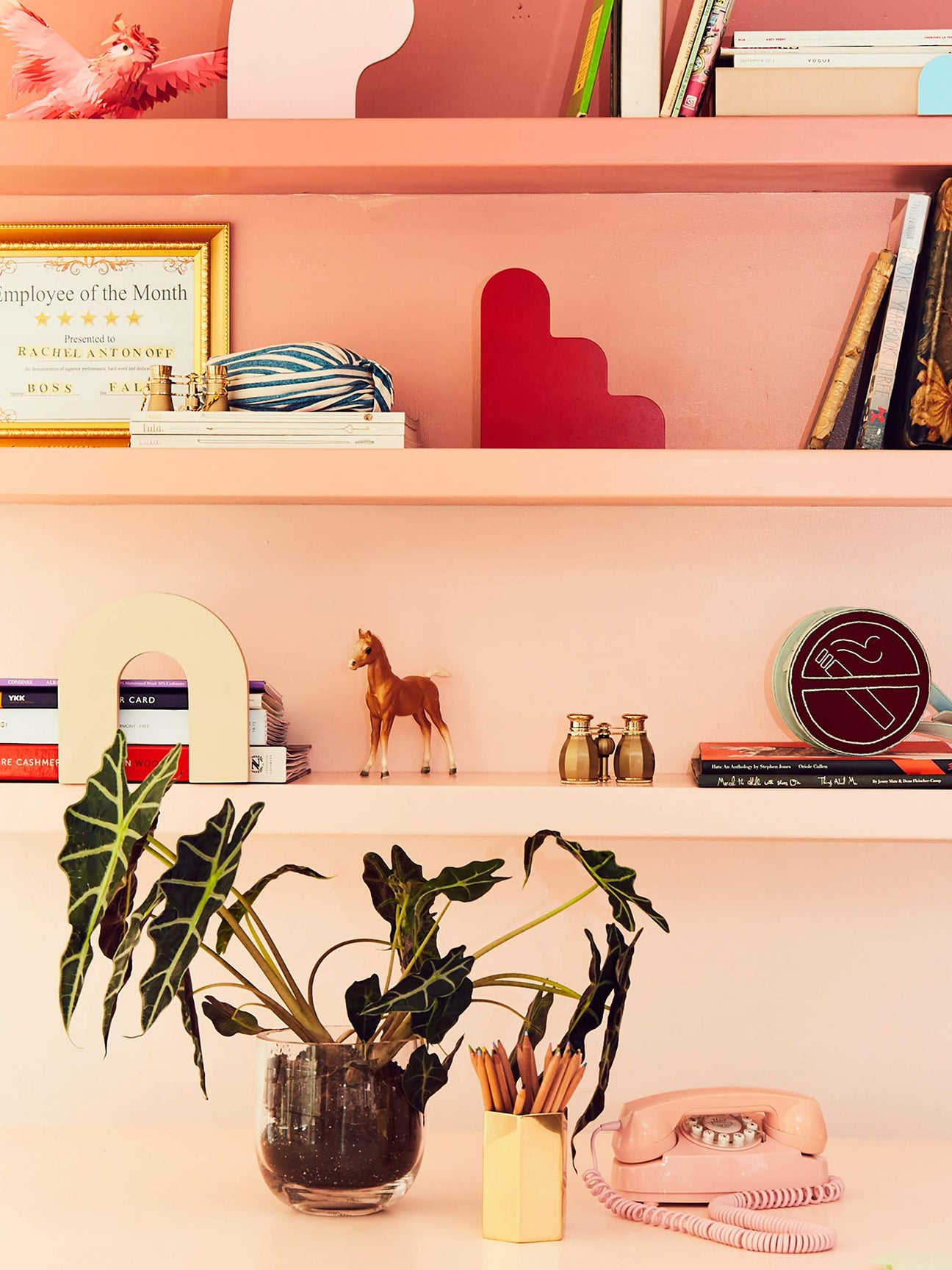ombre-pink-shelves