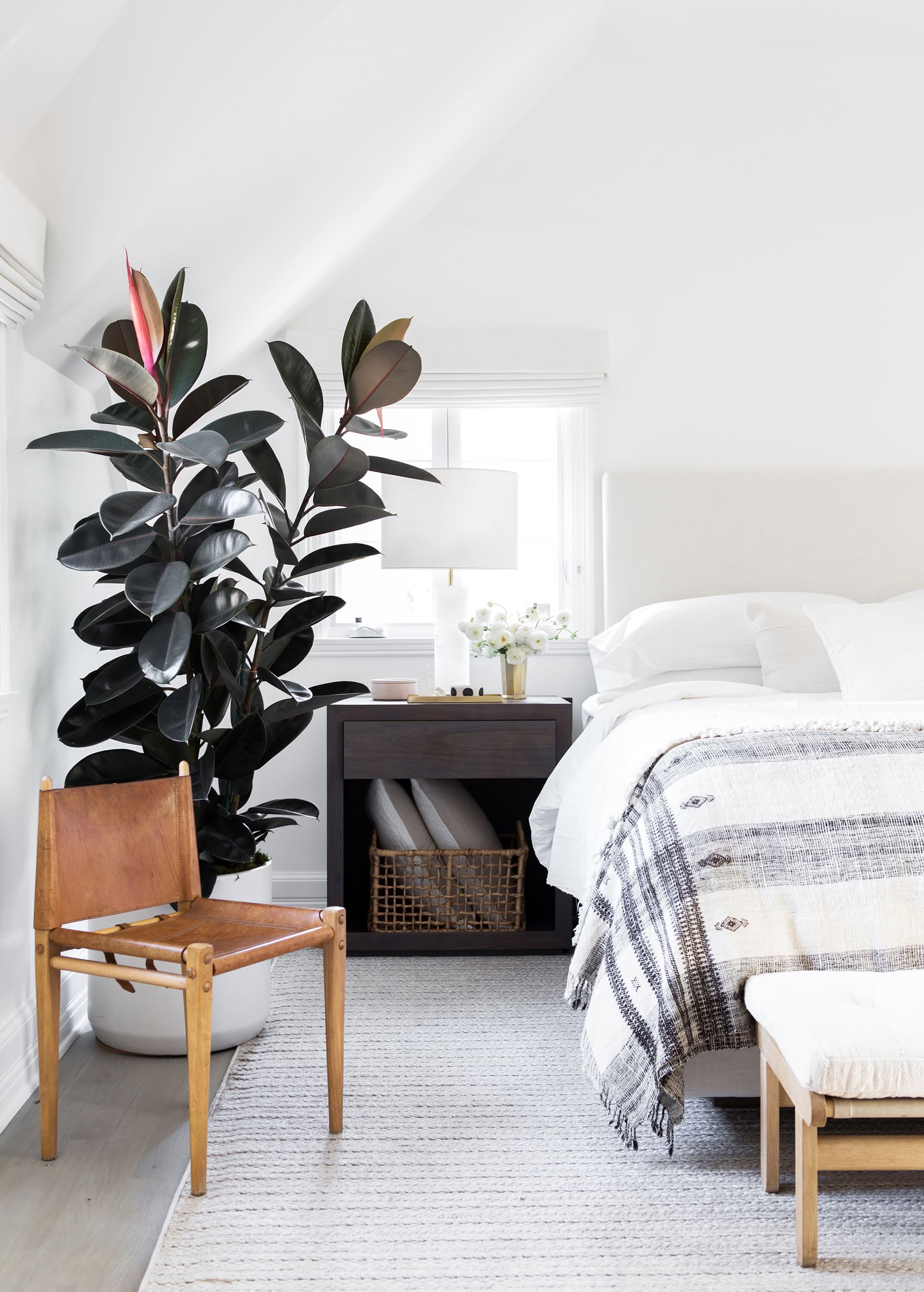 White bedroom with large rubber plant