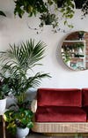Living room with red velvet sofa, round mirror, and plant.