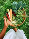 Woman's hand holding a bowl of freshly picked carrots and herbs