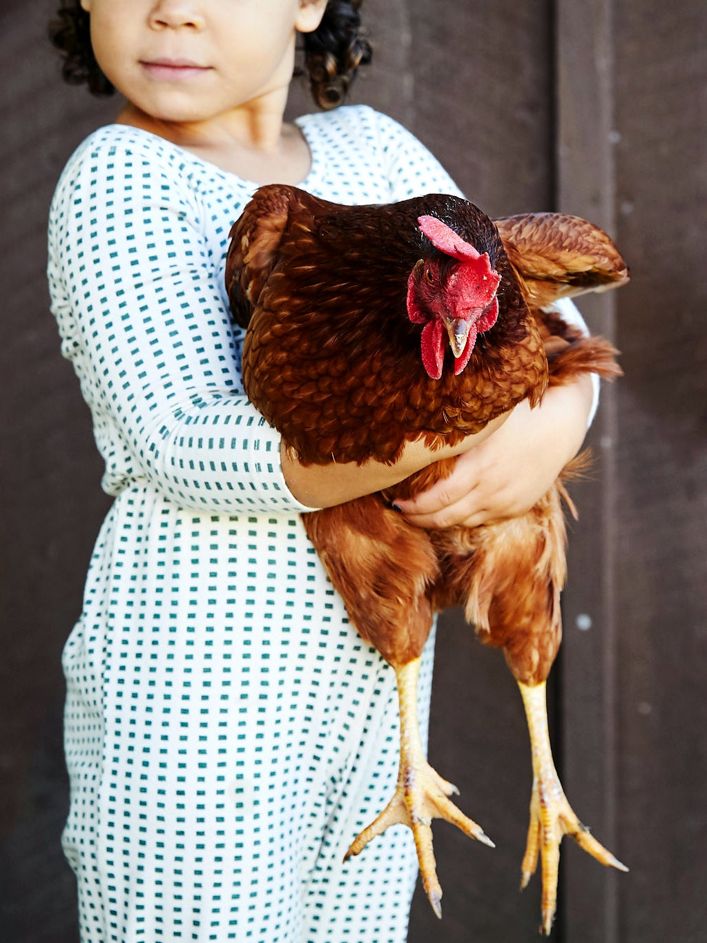 Child holding a chicken