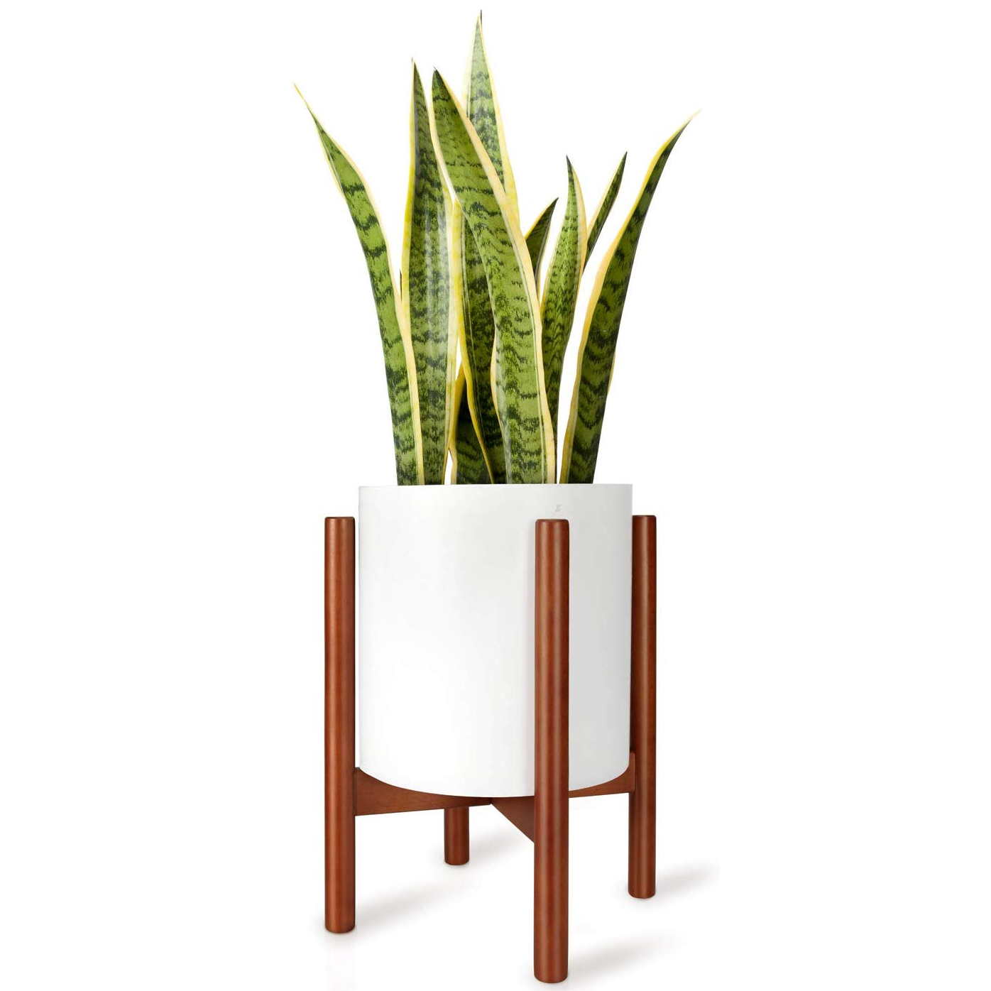 Mid-century plant stand with snake plant