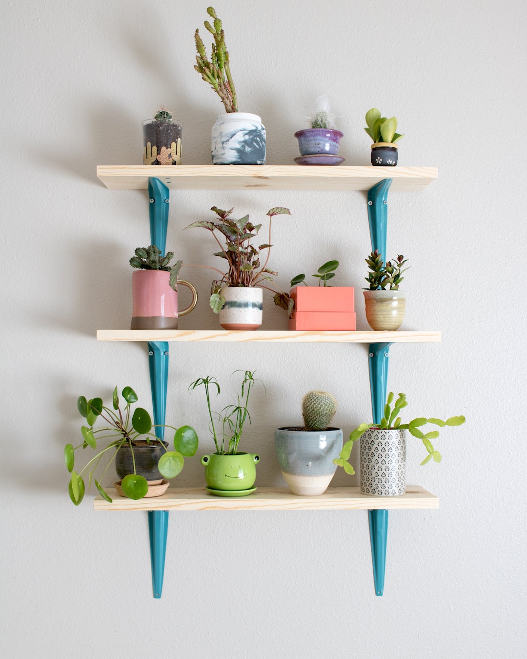 Shelves Filled With Plants