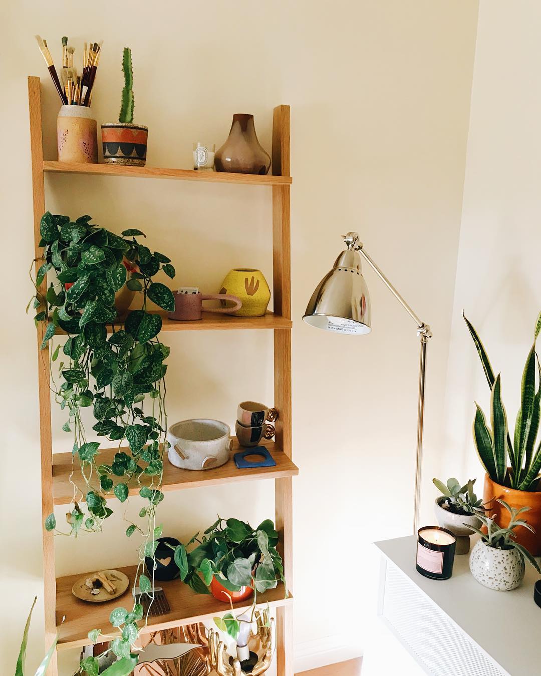 Plant with shelves