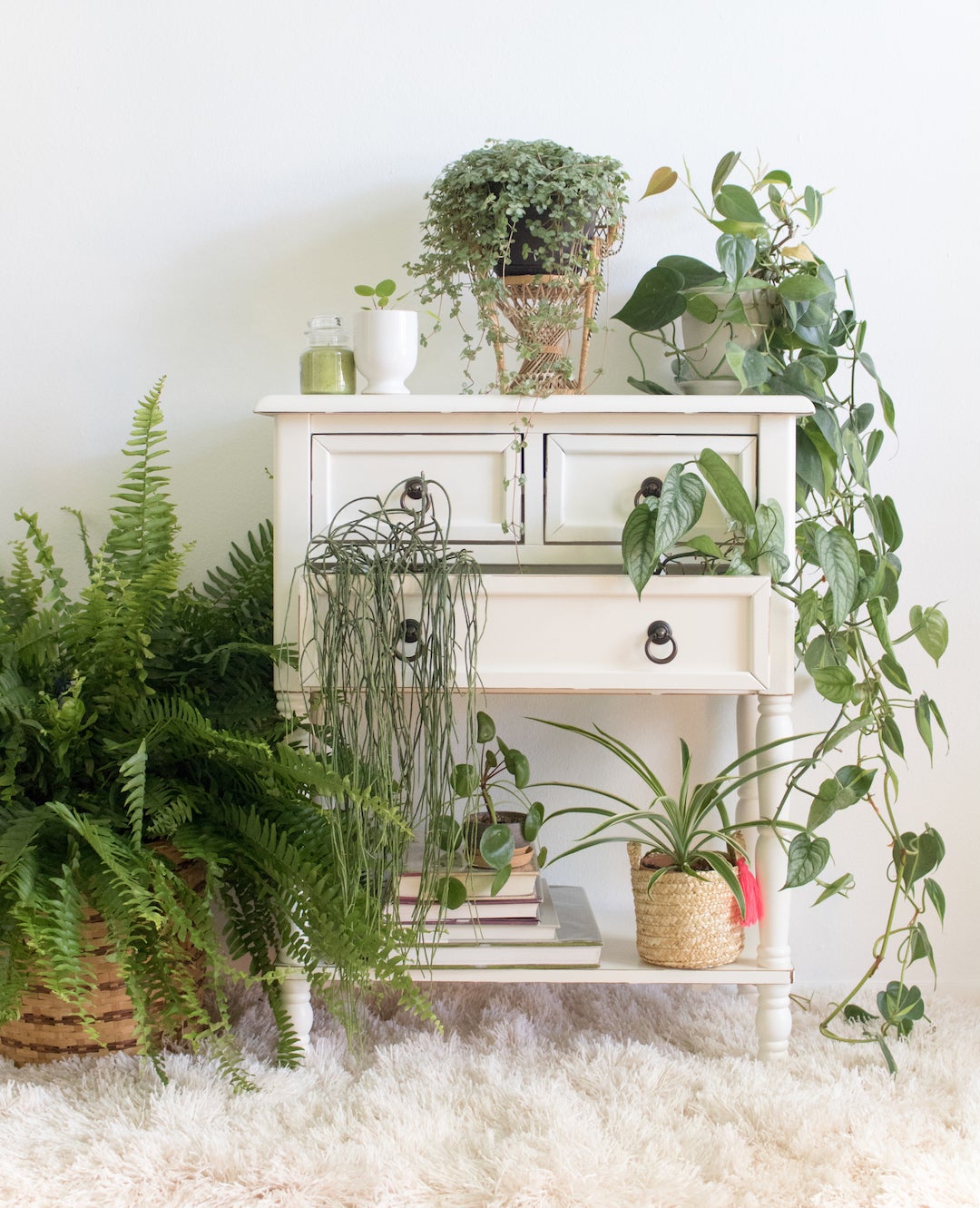 Shelf with plants
