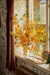 golden yellow leaves on a windowsill