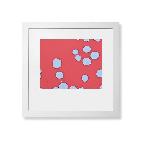 white frame with red artwork