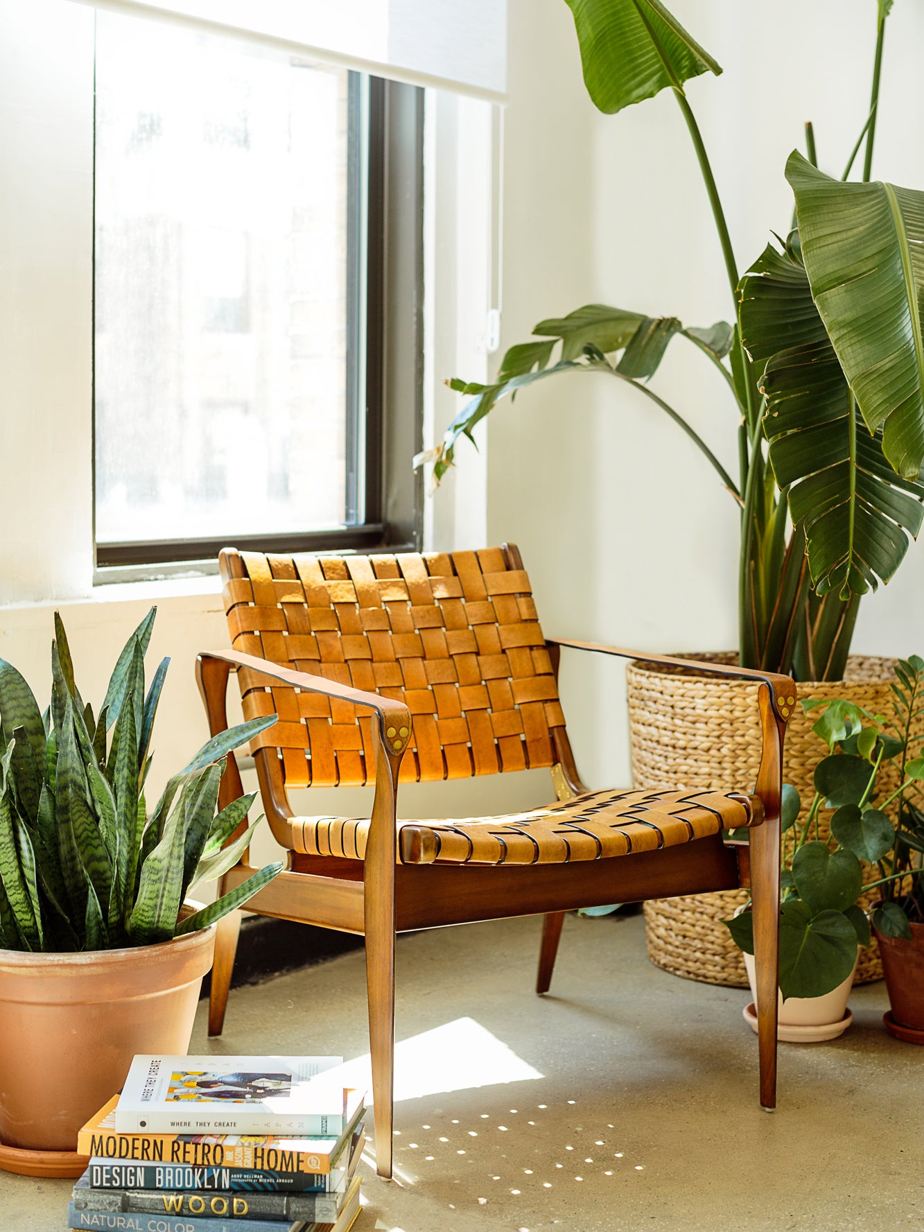 light filled room featuring leather lounge chair with house plants around it