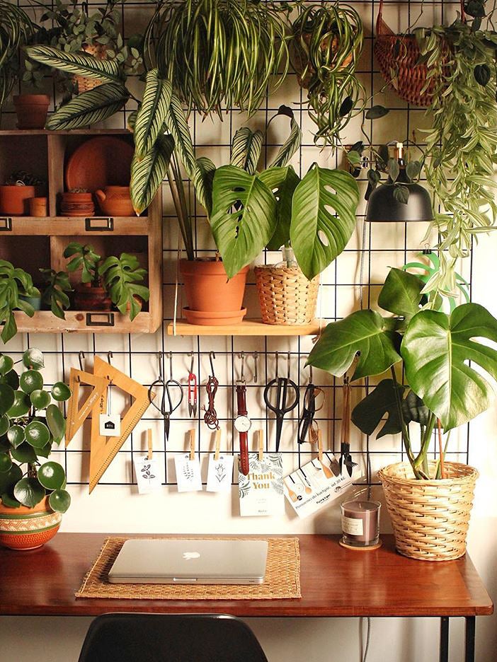 gardening station with lots of plants