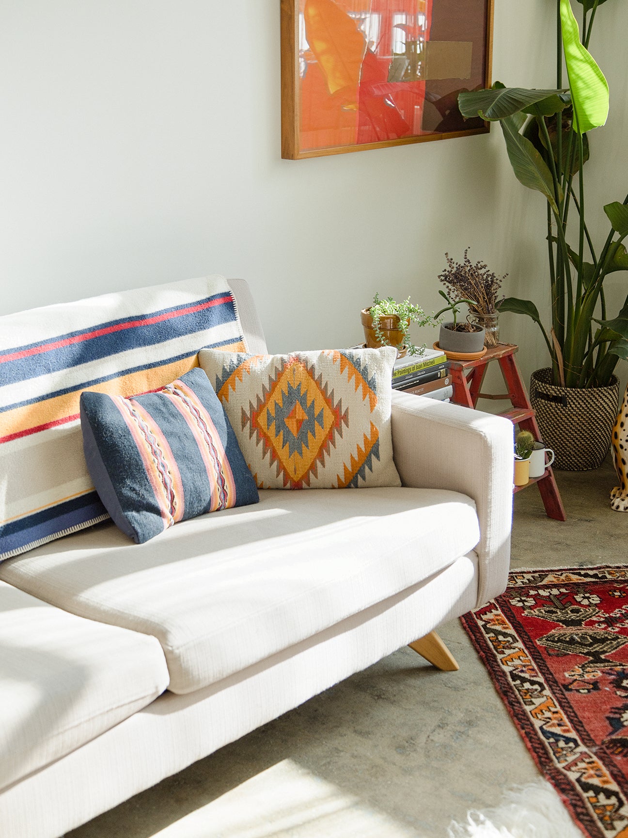 Corner of a living room with a sofa, plant, and rug