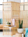 bamboo divider and cactus plant