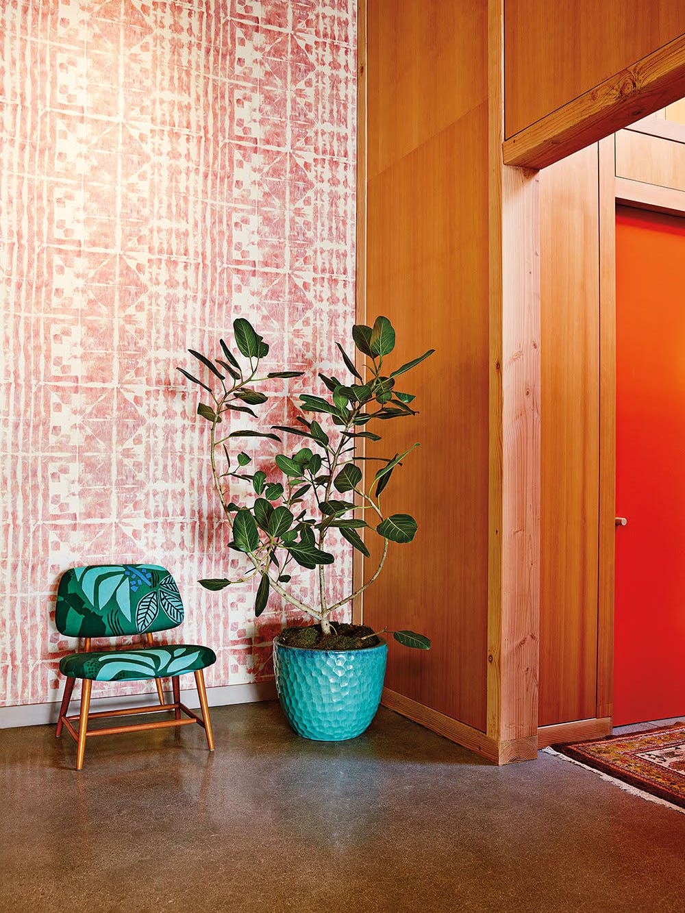 orange wallpaper with plant and chair in front of it