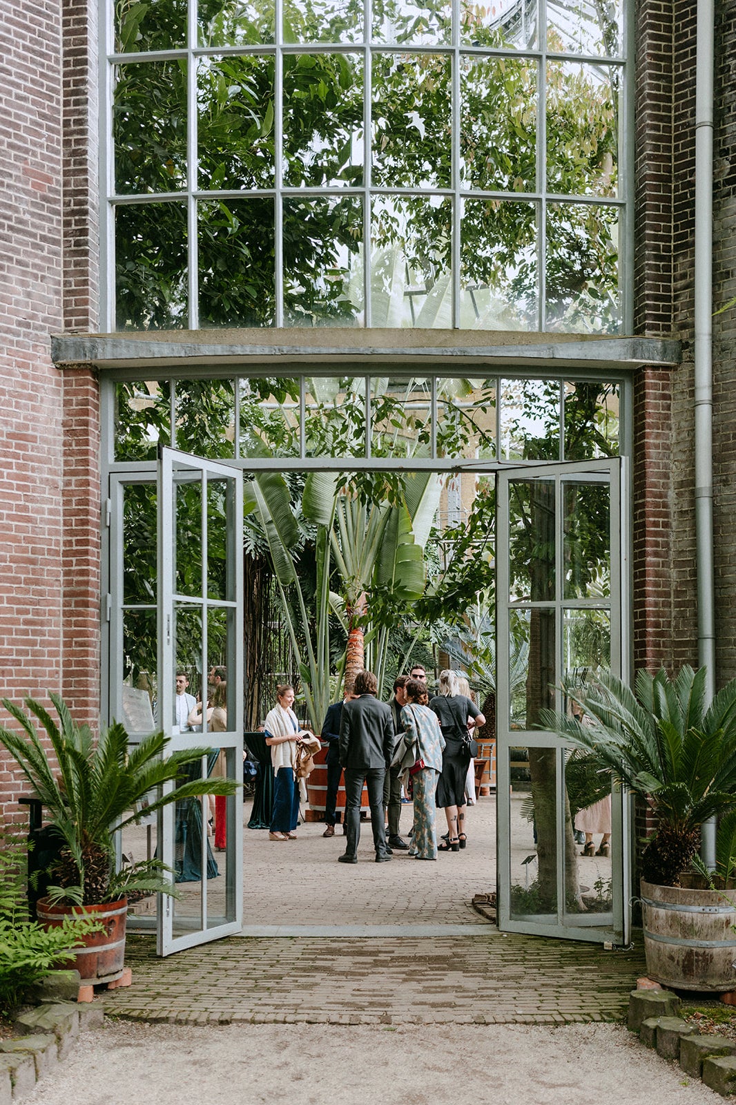 guests surrounded by trees