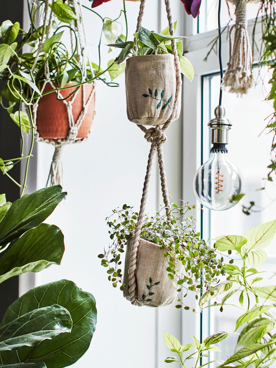 hanging planters in front of window