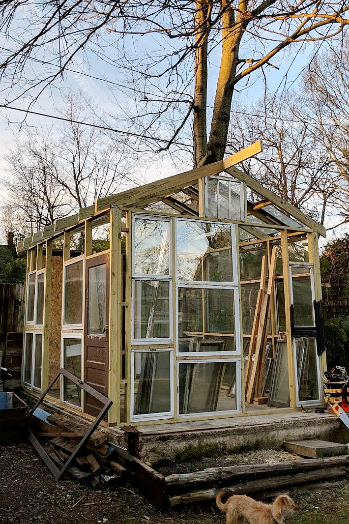 In-process: wooden frame of greenhouse with windows