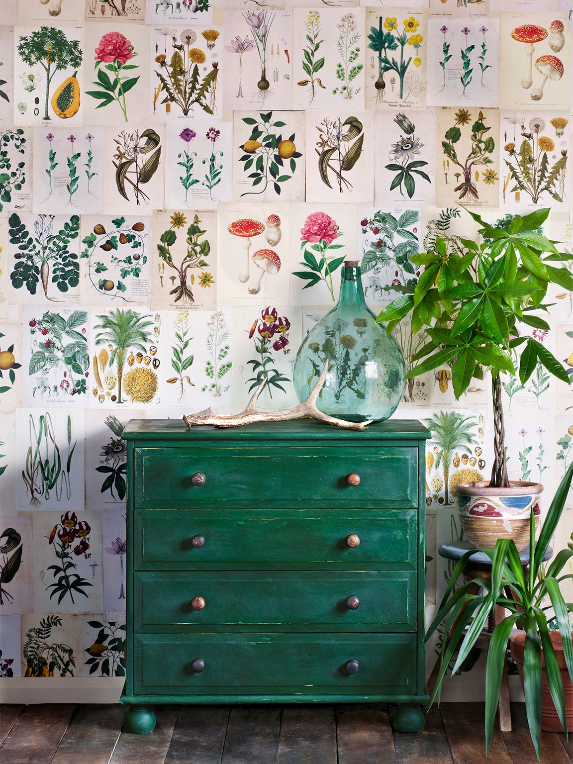 green dresser and plants in front of floral-print wallpaper